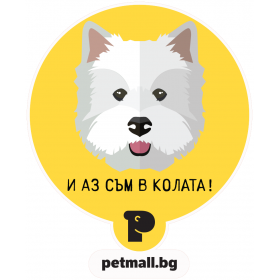 Стикер за кола 